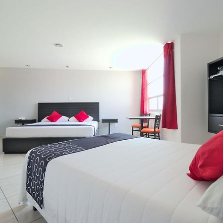 Hotel Euro Confort,Pachuca Kültér fotó